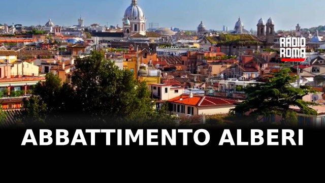 Abbattimento alberi a Prati, 17 esemplari giudicati pericolosi