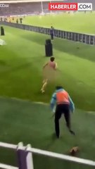 Güvenli görevlisi, çıplak koşucuya engel olmaya çalışırken ortaya komik görüntüler çıktı