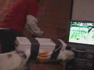 Un chien qui joue à Wiisport