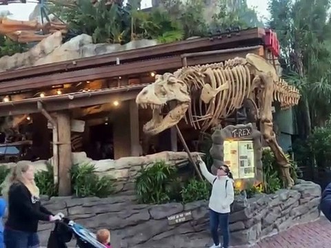 Disney World Florida: Sehrli Sayohatni Boshlashdan Oldin Bilishingiz Kerak Bo’lgan Barcha Narsalar! #sardoriolawyer#uzbekistan#navoiylikman#sardorbekjumaboev #amerikadagiozbeklar #bojalarjamoasi#amerikahayoti#prikol#shorts#rekkaciqiplos✌️😹