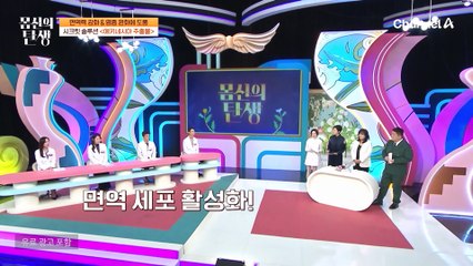 에키네시아? 너, 뭐 돼?! 면역력 강화에 직빵이라는 에키네시아 추출물의 모든 것♥