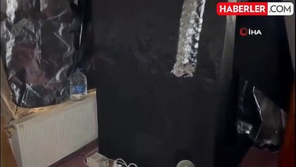 Elbise Dolabında Kenevir Yetiştiren Şahıs Yakalandı