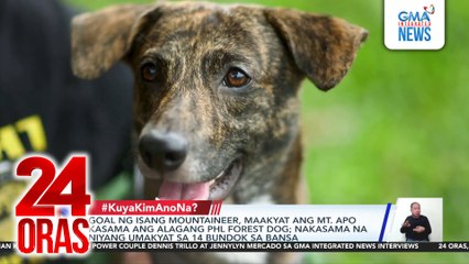 Goal ng isang mountaineer, maakyat ang Mt. Apo kasama ang alagang PHL Forest Dog; nakasama na niyang umakyat sa 14 bundok sa bansa | 24 Oras
