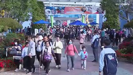 "الأخت الكبرى والأخ الصغير".. طوابير طويلة لمشاهدة أول توأم باندا يولد في هونغ كونغ