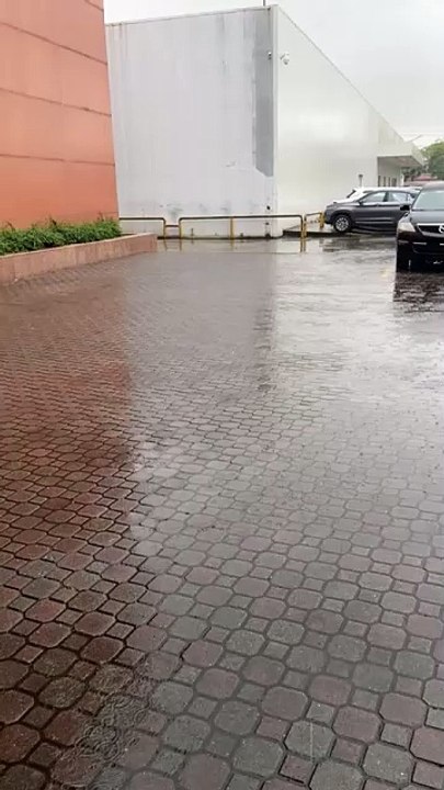 Lluvias