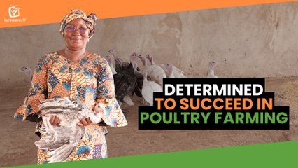 Agri Story: Determined to succeed in poultry farming