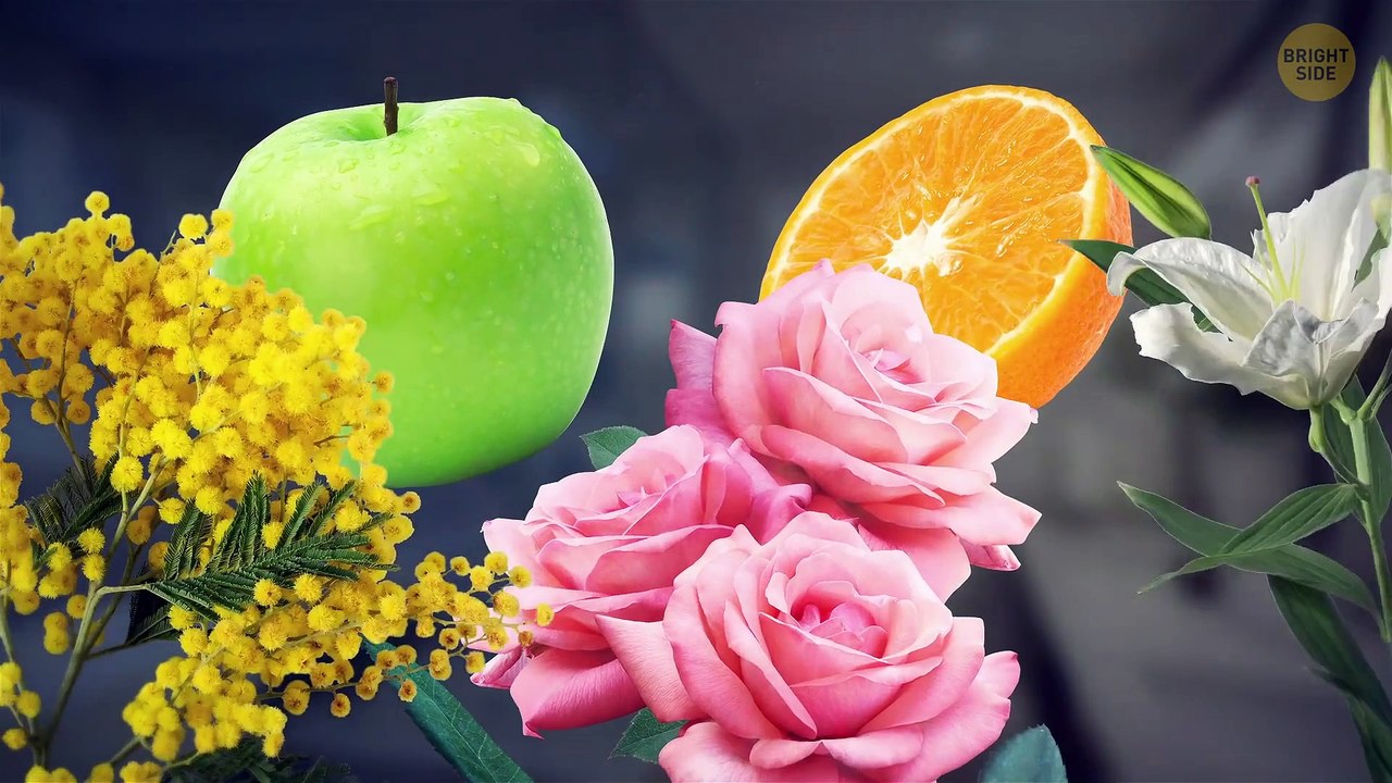 Scientists Just Deciphered the Creepy Sounds Beneath Antarctica