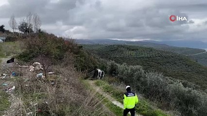 Bursa\'da feci kaza! Bu araçtan sağ çıktı