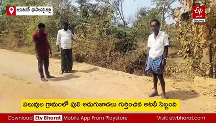 అమ్మ బాబోయ్ పెద్దపులి - కంటిమీద కునుకులేకుండా గడుపుతున్న ప్రజలు