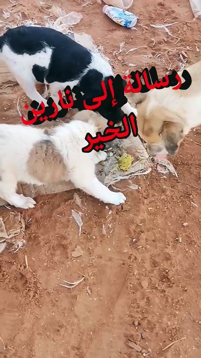 مرحبا بكم مشاهدنا الكرام اشكركم على حسن المتابع...