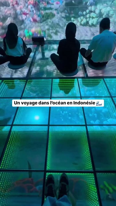Un voyage dans l’océan 🌊☀️