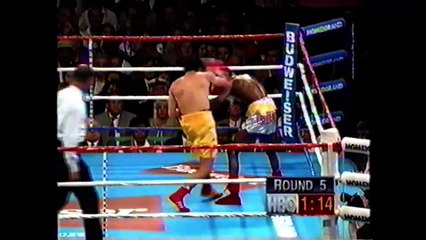 Danny Romero vs Francisco Tejedor - HBO 4-22-95