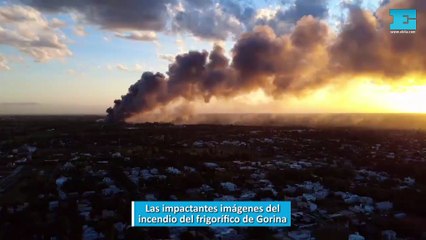 Las impactantes imágenes del incendio del frigorífico de Gorina