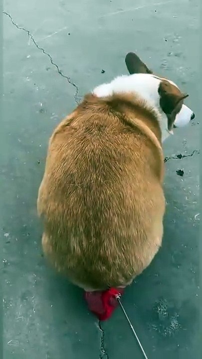 Just do your thing, everything will be fine when living in an apartment like: