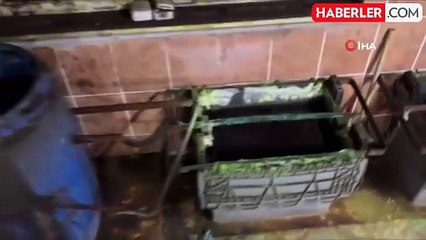 Sakarya'da Kaçakçılık Operasyonu: Evde Silah ve Mühimmat Ele Geçirildi