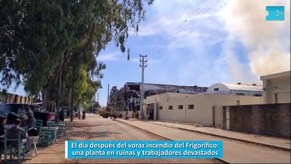 El día después del voraz incendio del Frigorífico: una planta en ruinas y trabajadores devastados
