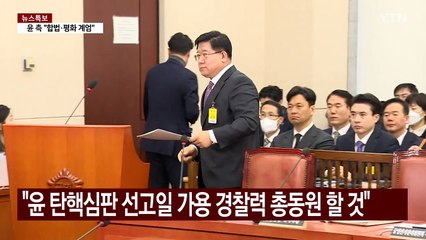 경찰청장 대행 "윤 탄핵심판 선고일 가용 경찰력 총동원" / YTN