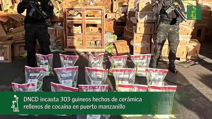 DNCD incauta 303 guineos hechos de cerámica rellenos de cocaína en puerto manzanillo_1