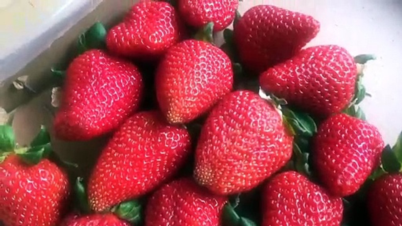 Picky Eaters Can Be Tough! Here Are Some Tips To Make Them Eat Different Foods