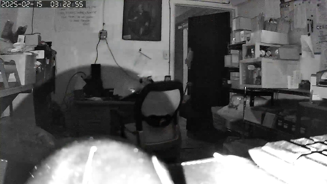 Suspects in Pingree Detroit break in