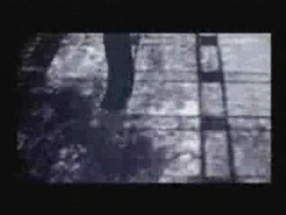 AMV Silent Hill 4 The Room (Death To Birth)