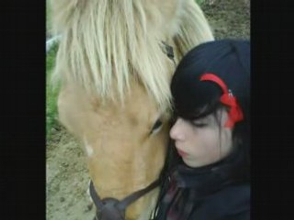 MES AMiiS