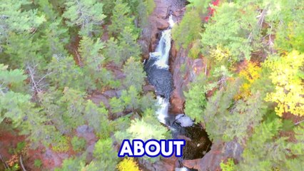 "Move Like THIS After He Hurts You—And Watch Everything Change!"