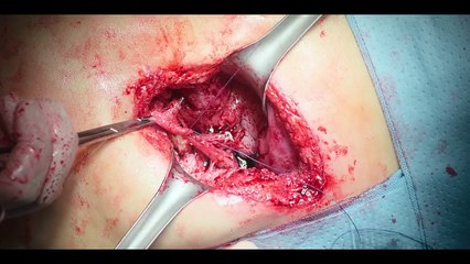 Best Latest Korean Dramas with Hindi Dubbed 🎬