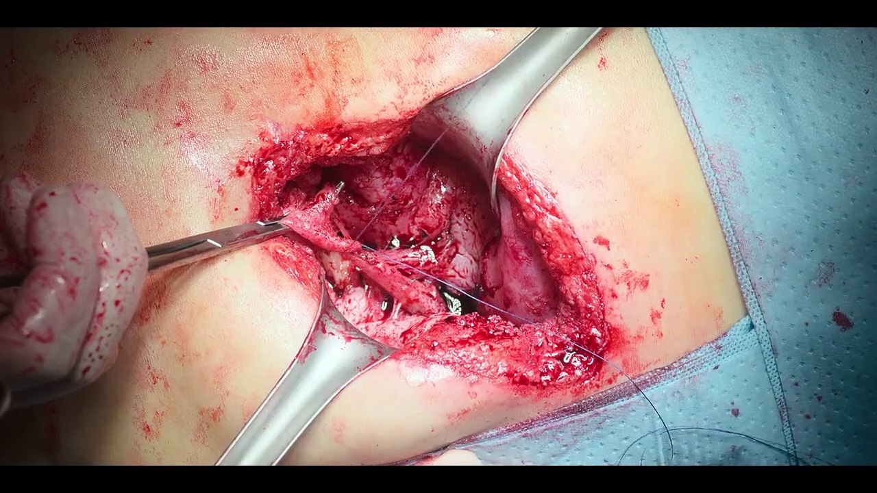 Latest Korean drama Hindi dubbed