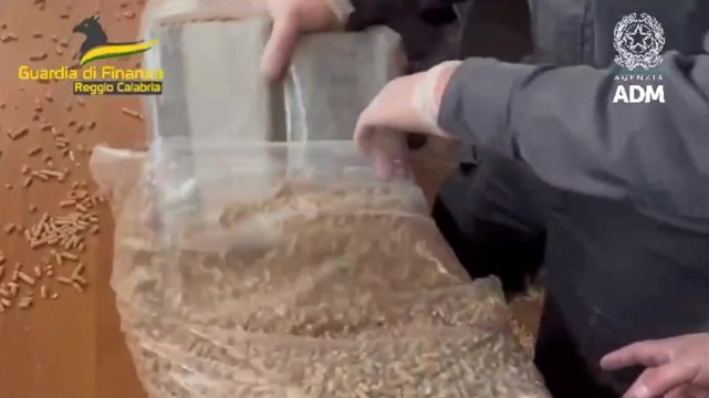 788 chili di cocaina nascosti nel pellet sequestrati al porto di Gioia Tauro (18.02.25)