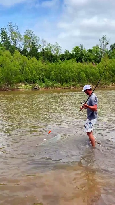 Fish hunting @karmawala videos