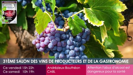 Agenda des Sorties du 19 au 21 février 2025