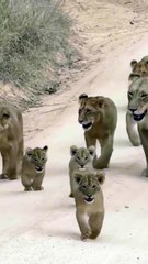Three generations