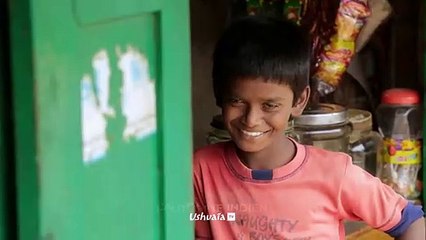 Sultan, à la recherche du tigre perdu