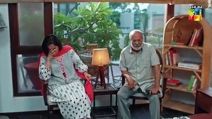 Judwaa - Episode 13 - 18th Feb 2025 [ Aina Asif & Adnan Raza Mir ] - HUM TV