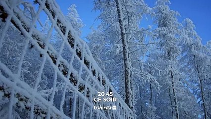 Retour à l'âge de glace, l'hypothèse de Zimov