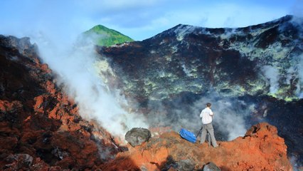 Des îles sous influence