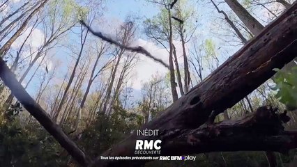 Seuls face à l'Alaska