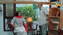 Judwaa - Episode 13 - 18th Feb 2025 [ Aina Asif  Adnan Raza Mir ] - HUM TV