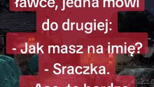 Zapoznanie