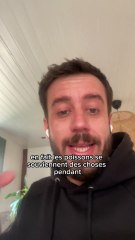 7 mythes éclatés en moins de 2 minutes 😳