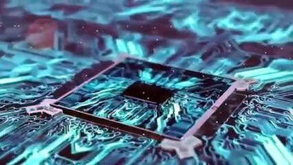 La Foquita: El 10 de la Calle Película Completa en Español Latino