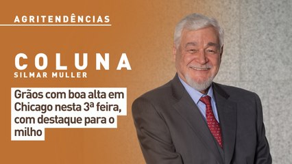 Grãos com boa alta em Chicago nesta 3ª feira, com destaque para o milho