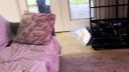 Me when Mom and Gabriel are Back 2 Reversed