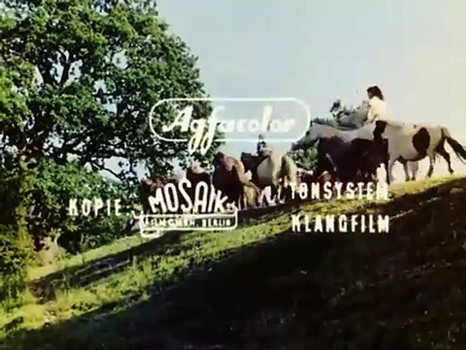 Hochzeit auf Immenhof 1956