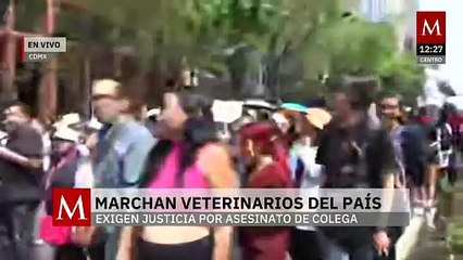 Médicos veterinarios marchan en Paseo de la Reforma por la muerte de Héctor Soto en Tultepec