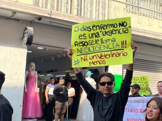 Marcha de veterinarios en Morelos