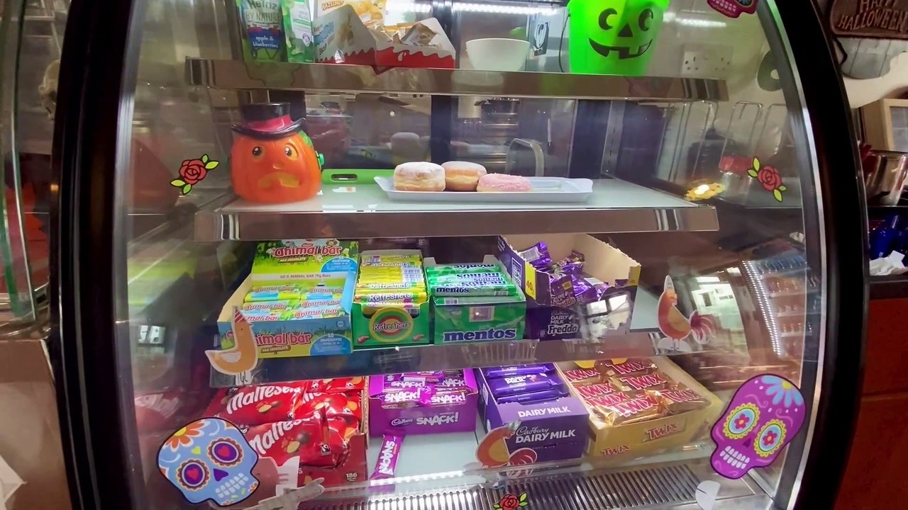 Copper Coast Mini Farm Adventure! 🐑 Family Fun in Waterford, Ireland