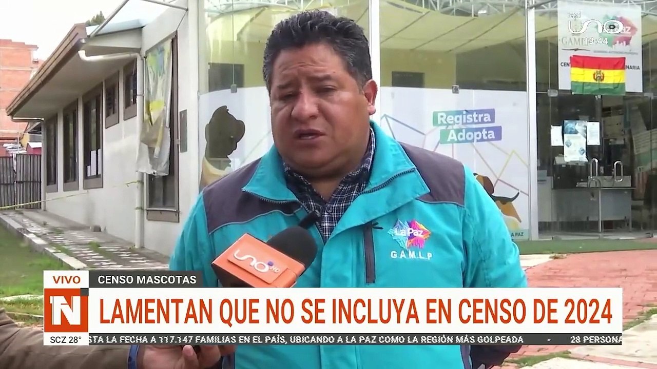perritos
