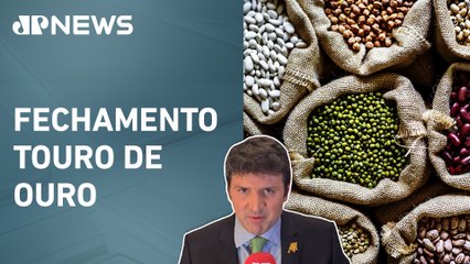 Ibovespa fecha de lado com commodities, BofA e Rússia-Ucrânia | FECHAMENTO TOURO DE OURO